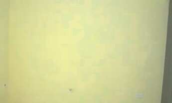 Imagem 5: CASA TÉRREA PARA LOCAÇÃO - IPIRANGA