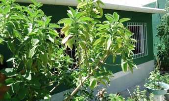 Imagem 3: Casa em Maria Ortiz