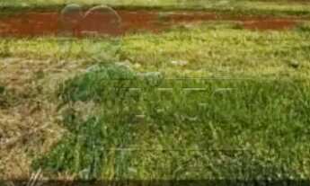 Imagem 3: Terreno com 328 m² á venda - Condomínio Alto do Castelo