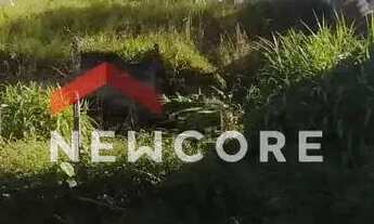 Imagem 2: Lote em Rua Campestre - Santa Luzia - Ribeirão Pires/SP