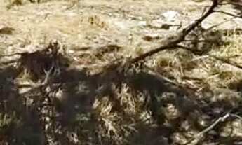 Imagem 6: Lote escriturado - Rio Marinho, Vila Velha - Apto para financiamento