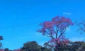 Imagem 4: Chácara 20.000 m² aceita negociação