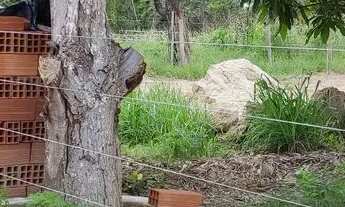 Imagem 4: Chácara após o Mucambinho