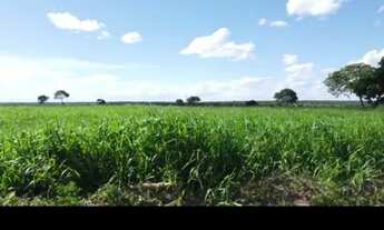 Imagem 5: Vende-se uma excelente fazenda de 1.100 hectares