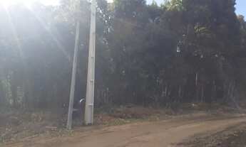 Imagem 3: Vende se terreno na Contenda em São José dos Pinhais
