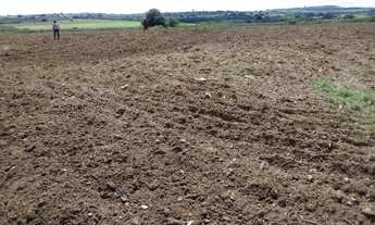 Imagem 5: Vendo chácara com 77 tarefas em Arapiraca - AL