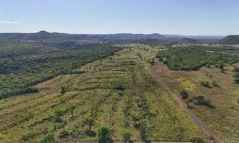 Imagem 2: FAZENDA NO MUNICIPIO DE PALMAS