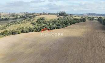 Imagem: Sítio em Centro - Centro - São Miguel