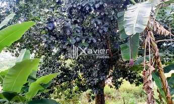 Imagem 5: Chácara com 600 m² à Venda em Cachoeirinha - Guarapari/ES