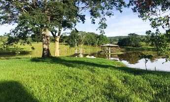 Imagem 7: Chácara à venda 1 Quarto, 1 Vaga, 51304M², Zona Rural, Rio Branco - MT