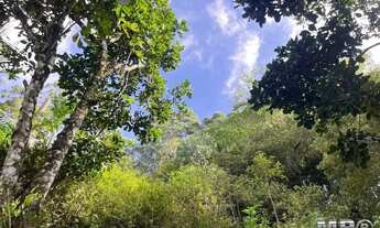 Imagem 4: Sítio com 20 mil metros, Lumiar, Nova Friburgo