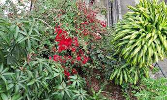 Imagem: Casa nova jacarei