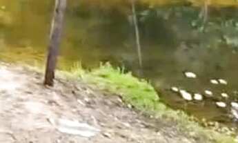 Imagem 3: Vende-se chácara c/ banho Próximo a Vila Recrear 40km de Boa Vista RR