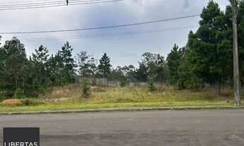 Imagem 5: Terreno no Ecovillage Urban Resort