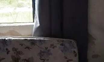 Imagem 7: Zap * Casa em Araruama R$45.000,troco por carro