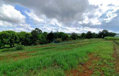 Imagem 9: Sítio à venda, 96800 m² por R$ 500.000,00 - Centro - Guaraniaçu/PR