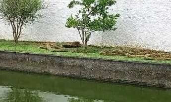 Imagem 7: Chácara em Biritiba Mirim SP!!!