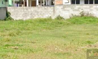 Imagem 7: COD 0175; Lindo Terreno em Ratones