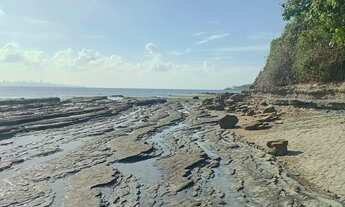 Imagem 3: Vendo Terreno na Ilha------Leia