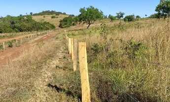 Imagem 5: FAZENDA NO MUNICIPIO DE PALMAS