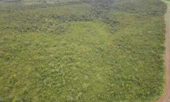 Imagem 2: Imóvel para venda com 1 metros quadrados em rura - Santa Tereza do Tocantins - TO