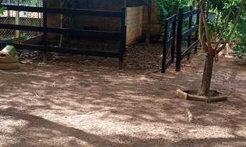 Imagem 2: Chácara em caldazinha 2.310 metros quadrados