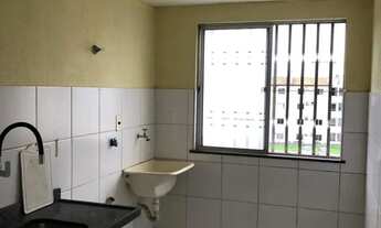 Imagem 5: Imóvel para venda possui 50 metros quadrados com 2 quartos em Turu - São Luís - MA