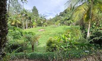 Imagem 5: Chácara plana próxima a Juquitiba