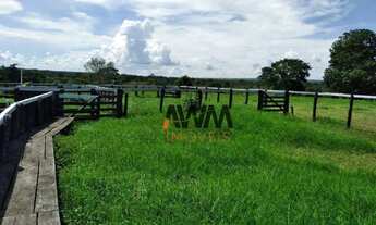 Imagem: Fazenda à venda, 275880 HA por R$ 9.000.000