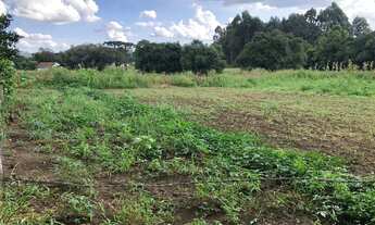 Imagem 3: Área moradia investimento Caminho Vinho S.J.P