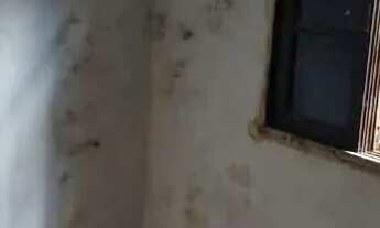 Imagem 5: Casa em Rua Fritz Reimann - Vila São João - Guarulhos/SP