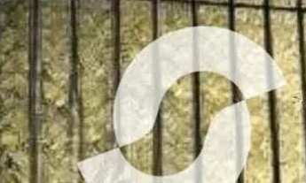 Imagem 3: Casa com 5 dormitórios à venda, 300 m² por R$ 2.000.000,00 - Icaraí - Niterói/RJ