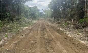 Imagem 3: Lote para sítio/chácara