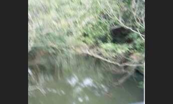 Imagem 5: Vendo Fazenda 20 alqueires São Gabriel da Palha