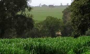 Imagem 2: Excelente oportunidade