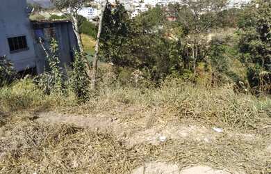 Imagem 2: Lote Sarzedo - Masterville