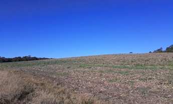 Imagem 5: Área de Lavoura para Venda, Toda Mecanizável não Aceita Permuta