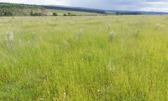 Imagem 2: Sorocaba Região Sítio 20 Alqueires