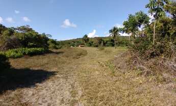 Imagem 7: Área rural 106 hectares em Conde Bahia