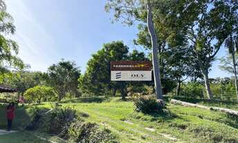 Imagem 7: Chácara Extra em Aparecida de Goiânia ! 2.5 Alqueires !