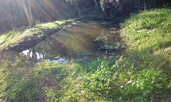 Imagem 2: Terreno 3 alqueires com nascente dentro