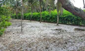 Imagem 4: 321)Lotes em Cações a 100m da Praia ( Rua tranquila sem saída e residencial
