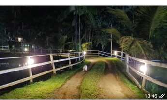 Imagem 4: Fazenda/Sítio/Chácara para venda tem 300 metros quadrados em Sana - Casimiro de Abreu - RJ