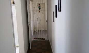 Imagem 4: Apartamento para aluguel possui 60 metros quadrados com 2 quartos em Petrópolis - Porto Al