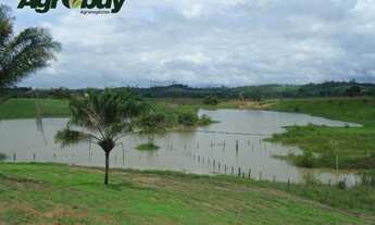 Imagem: Fazenda Com 405 Alqueires Localizada em