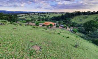 Imagem: Excelente Chácara de 1.5 alqueires - 6