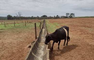 Imagem 4: Sitio para venda sentido Uberaba com 7,5 alqueires