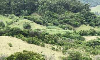 Imagem 7: Terreno à venda, 20000 m², Imaruí SC