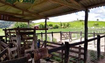 Imagem 3: Fazenda Com 405 Alqueires Localizada em Marabá-Pá