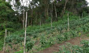 Imagem 4: Terreno em Santa Rita - Teresópolis R,J
